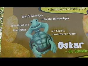 oskar die Schildkröte